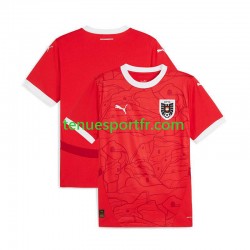 Homme Maillot Domicile Autriche Euro 2024 Rouge à Manches Courtes