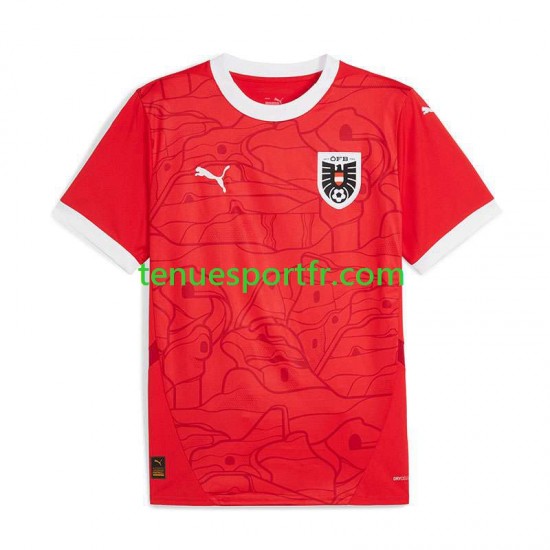 Homme Maillot Domicile Autriche Euro 2024 Rouge à Manches Courtes