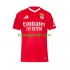 Homme Maillot Domicile Benfica 2024-2025 Rouge à Manches Courtes