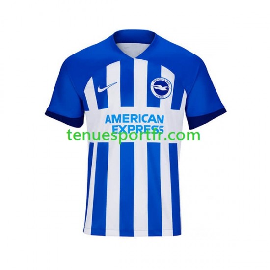 Homme Maillot Domicile Brighton Hove Albion 2023-2024 à Manches Courtes