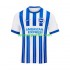 Homme Maillot Domicile Brighton Hove Albion 2024-2025 à Manches Courtes