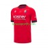 Homme Maillot Domicile CA Osasuna 2024-2025 à Manches Courtes