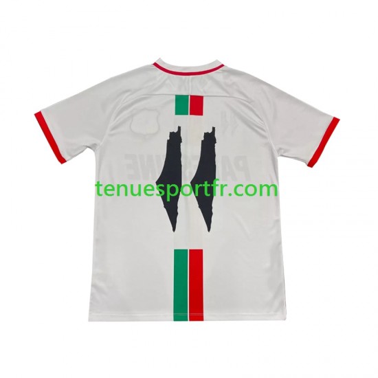 Homme Maillot Extérieur Club Deportivo Palestino Center Stripre 2024-2025 à Manches Courtes