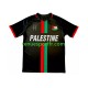 Homme Maillot Domicile Club Deportivo Palestino Center Stripre 2024-2025 à Manches Courtes