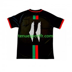 Homme Maillot Domicile Club Deportivo Palestino Center Stripre 2024-2025 à Manches Courtes