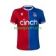 Homme Maillot Domicile Crystal Palace 2023-2024 à Manches Courtes