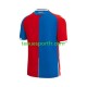Homme Maillot Domicile Crystal Palace 2023-2024 à Manches Courtes