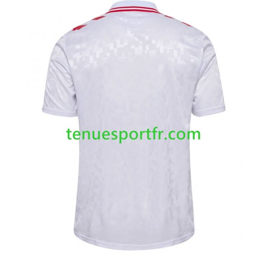 Homme Maillot Extérieur Danemark Euro 2024 à Manches Courtes