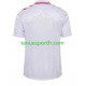 Homme Maillot Extérieur Danemark Euro 2024 à Manches Courtes