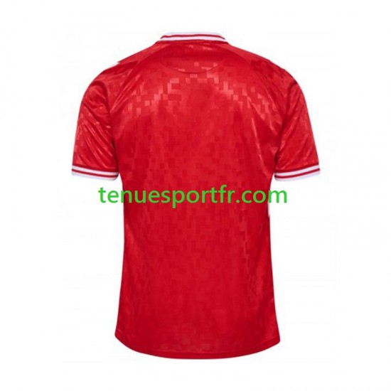 Homme Maillot Domicile Danemark Euro 2024 à Manches Courtes