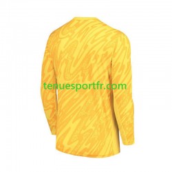 Homme Maillot Domicile France Gardien Euro 2024 Jaune à Manches Longues