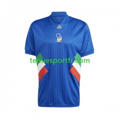 Homme Maillot Retro Domicile Italie Icon 2022-2023 à Manches Courtes