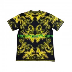 Homme Maillot Italie Special 2024 à Manches Courtes