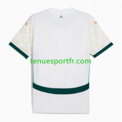 Homme Maillot Extérieur Côte d'Ivoire 2025 à Manches Courtes