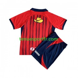 Kit Enfant Maillot Domicile Kashima Antlers 2023 à Manches Courtes