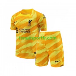 Kit Enfant Maillot Troisième Liverpool 2023-2024 à Manches Courtes