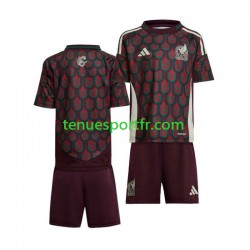Kit Enfant Maillot Domicile Mexique Copa America 2024 à Manches Courtes