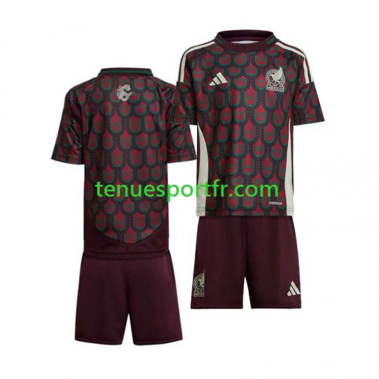 Kit Enfant Maillot Domicile Mexique Copa America 2024 à Manches Courtes
