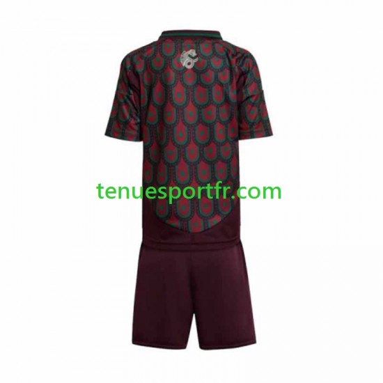 Kit Enfant Maillot Domicile Mexique Copa America 2024 à Manches Courtes