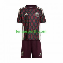 Kit Enfant Maillot Domicile Mexique Copa America 2024 à Manches Courtes