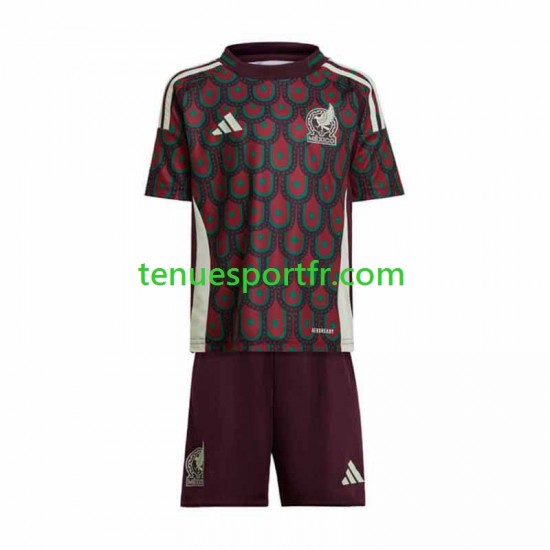 Kit Enfant Maillot Domicile Mexique Copa America 2024 à Manches Courtes