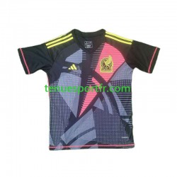 Homme Maillot Domicile Mexique Gardien Copa America 2024 Noir à Manches Courtes