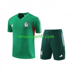 Mexique Kit Maillot d'entraînement + Shorts 2023-2024 Vert