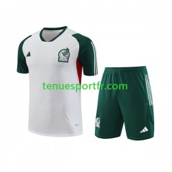 Mexique Kit Maillot d'entraînement + Shorts 2023-2024 Blanc
