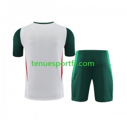 Mexique Kit Maillot d'entraînement + Shorts 2023-2024 Blanc