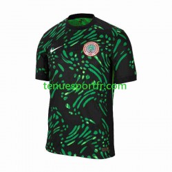 Homme Maillot Extérieur Nigeria 2024 à Manches Courtes