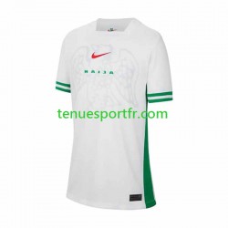 Homme Maillot Domicile Nigeria 2024 à Manches Courtes