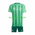 Kit Enfant Maillot Domicile rlande Du Nord 2024 à Manches Courtes