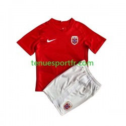 Kit Enfant Maillot Domicile Norvège HAALAND 9 2022 à Manches Courtes
