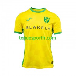 Homme Maillot Domicile Norwich City 2024-2025 à Manches Courtes