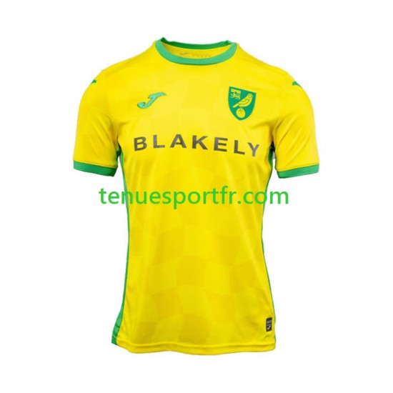 Homme Maillot Domicile Norwich City 2024-2025 à Manches Courtes