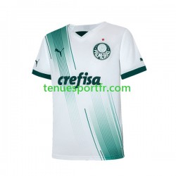Homme Maillot Extérieur Palmeiras 2023-2024 à Manches Courtes
