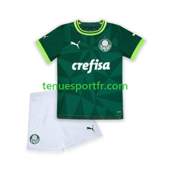 Kit Enfant Maillot Domicile Palmeiras 2023-2024 à Manches Courtes