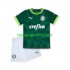 Kit Enfant Maillot Domicile Palmeiras 2023-2024 à Manches Courtes