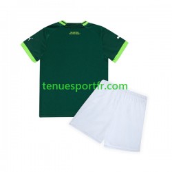 Kit Enfant Maillot Domicile Palmeiras 2023-2024 à Manches Courtes