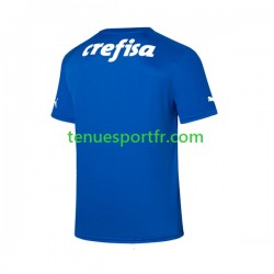 Homme Maillot Domicile Palmeiras Gardien 2023-2024 à Manches Courtes