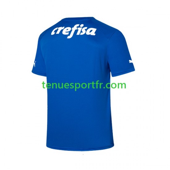Homme Maillot Domicile Palmeiras Gardien 2023-2024 à Manches Courtes