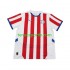 Homme Maillot Domicile Paraguay 2024 à Manches Courtes