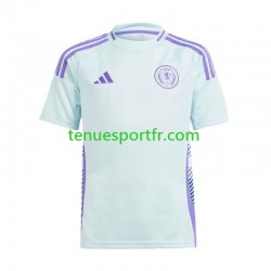 Homme Maillot Extérieur Écosse Euro 2024 à Manches Courtes