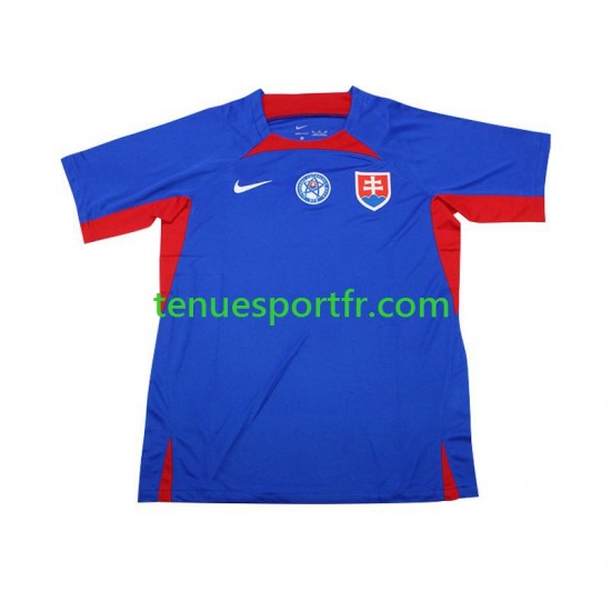 Homme Maillot Domicile Slovaquie Euro 2024 à Manches Courtes