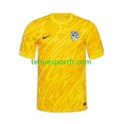 Homme Maillot Domicile Slovénie Gardien Euro 2024 Jaune à Manches Courtes