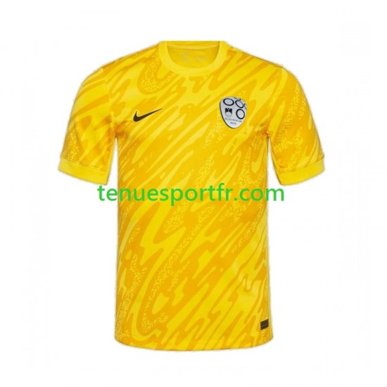 Homme Maillot Domicile Slovénie Gardien Euro 2024 Jaune à Manches Courtes