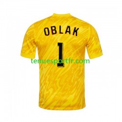 Homme Maillot Domicile Slovénie Gardien Jan Oblak 1 Euro 2024 Jaune à Manches Courtes