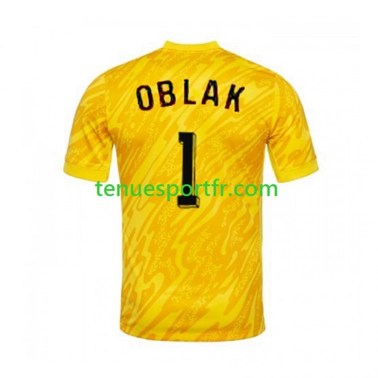 Homme Maillot Domicile Slovénie Gardien Jan Oblak 1 Euro 2024 Jaune à Manches Courtes