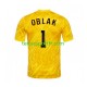 Homme Maillot Domicile Slovénie Gardien Jan Oblak 1 Euro 2024 Jaune à Manches Courtes