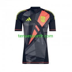 Homme Maillot Domicile Espagne Gardien Euro 2024 Noir à Manches Courtes